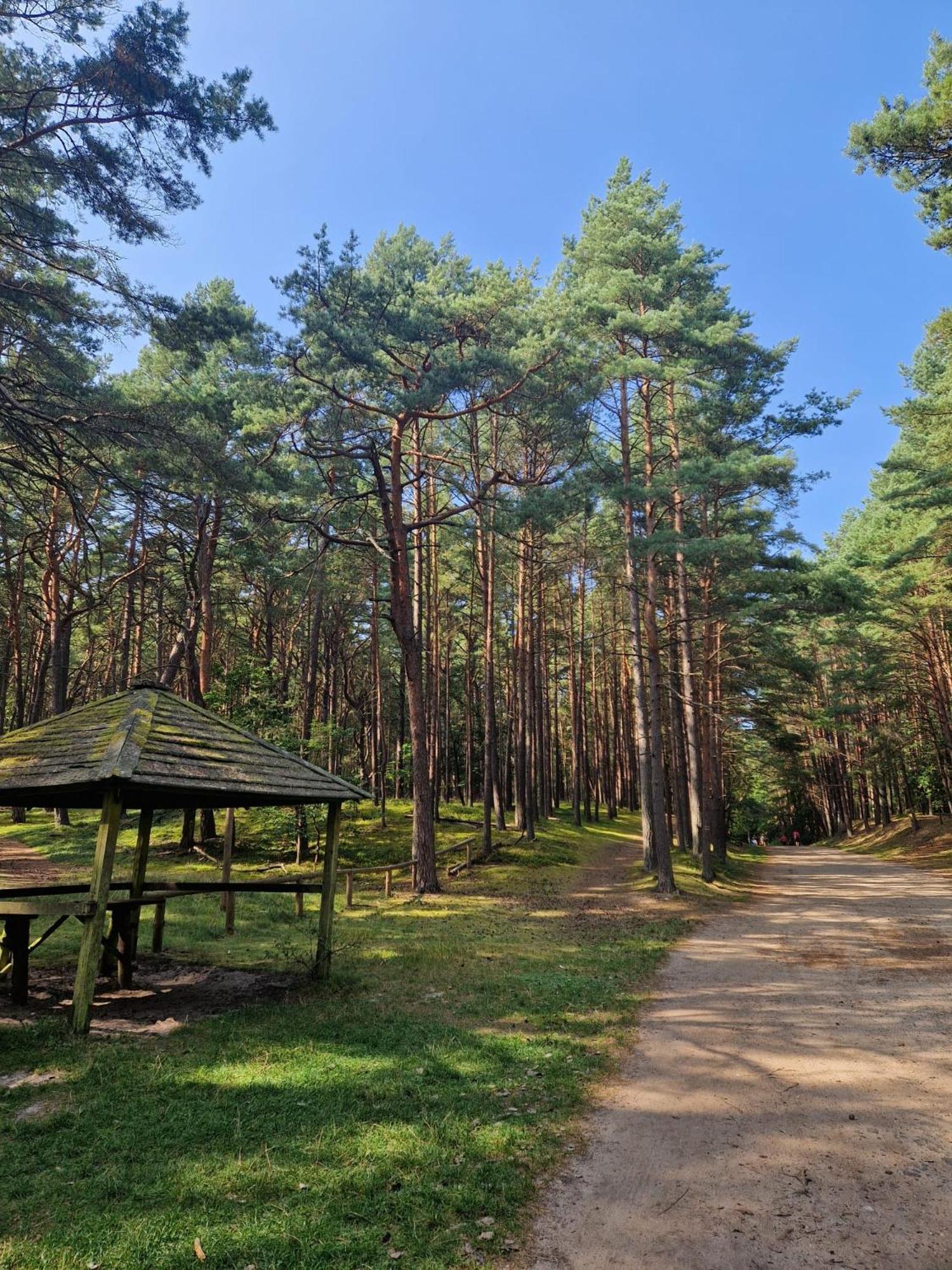 Apartamenty Promyk Wisełka Buitenkant foto